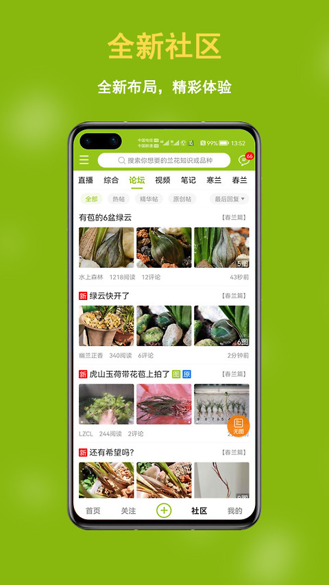 兰花交易网
