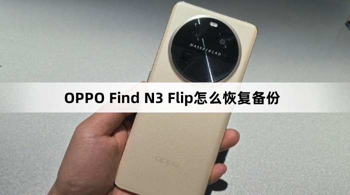 OPPO Find N3 Flip如何恢复备份