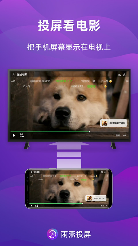 雨燕投屏app