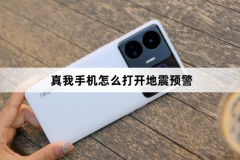 真我手机如何打开地震预警