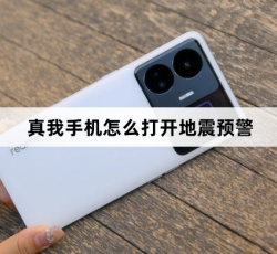 真我手机如何打开地震预警