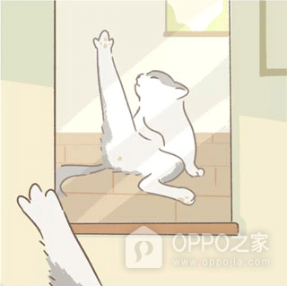 遇见你的猫2026最新版