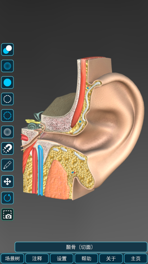 人体解剖学图集app