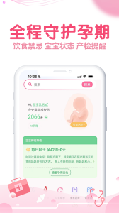 疯狂造人备孕怀孕