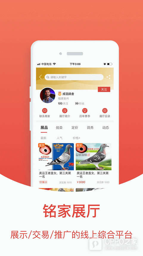 赛鸽头条app