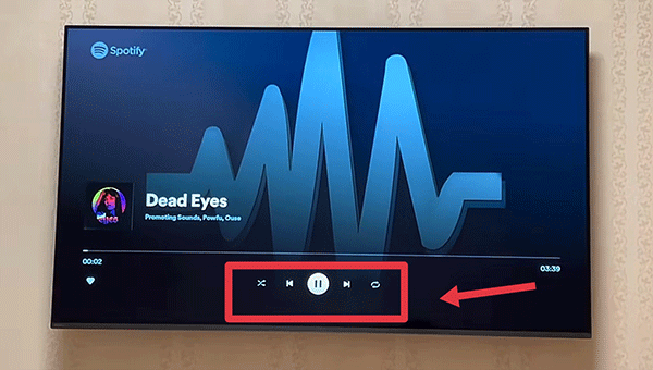 Spotify tv版