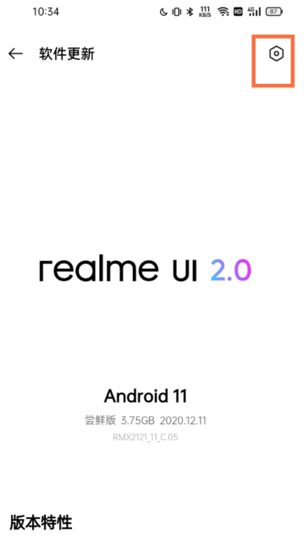 真我11pro+如何关闭系统更新