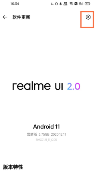 真我11pro+如何关闭系统更新