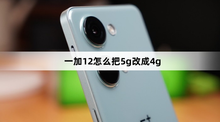 一加12怎么切换回4g网络