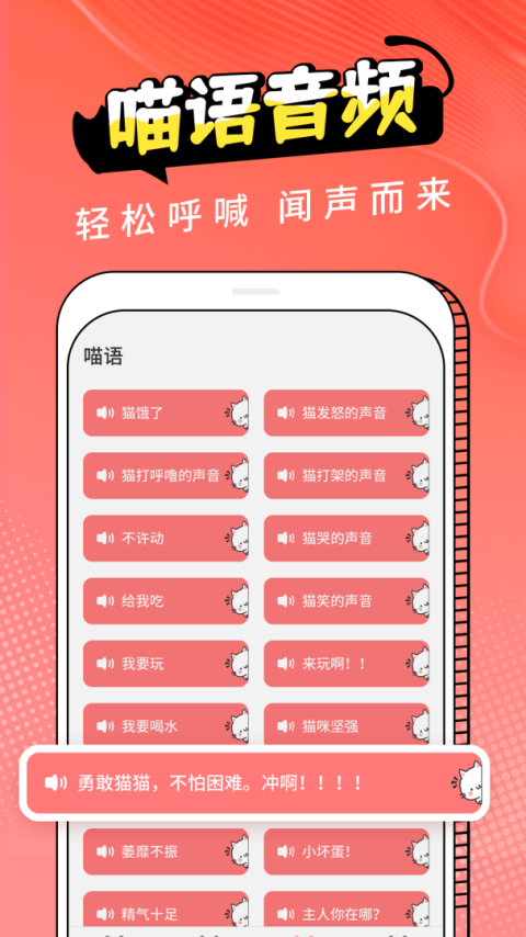 猫翻译app