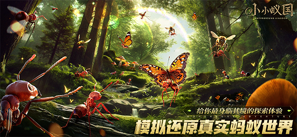 小小蚁国国际服