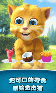 会说话的金杰猫2app