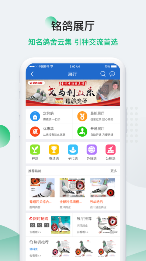 中国信鸽信息网app