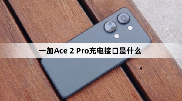 一加Ace 2 Pro充电接口是什么