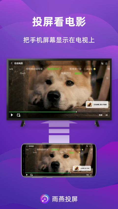 雨燕投屏app