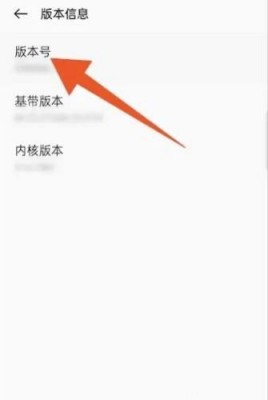 一加 Ace 2 设置4G网络教程