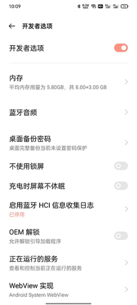 opporeno10如何打开开发者选项