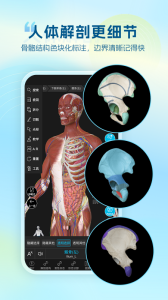 维萨里3D解剖app