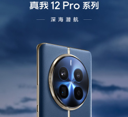 真我 12 Pro+更换原装摄像头要多少钱？