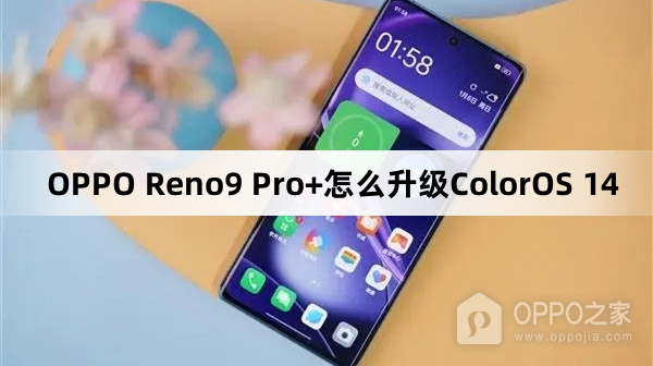 OPPO Reno9 Pro+如何升级ColorOS 14