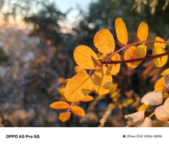 OPPO A5 Pro实测：这防水性能简直逆天！