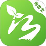 青苗宝app
