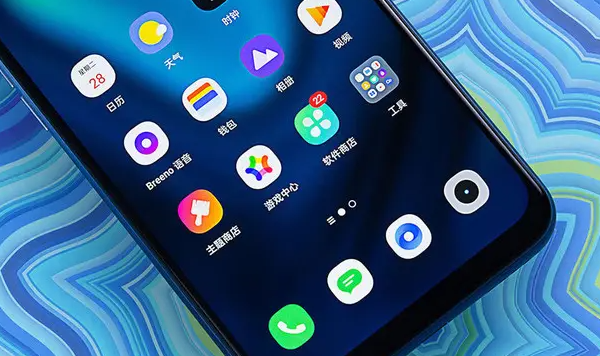 realme真我10Pro+用的是USBTypeC接口吗