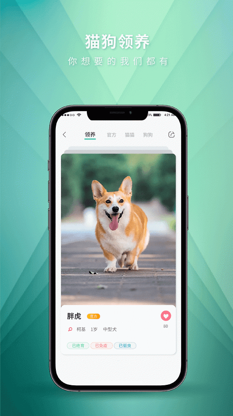 麦道app