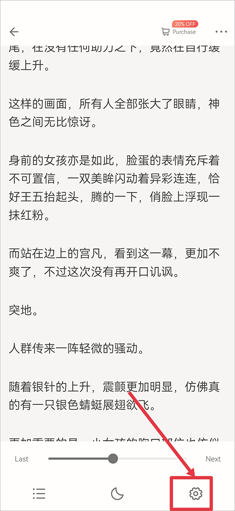 掌阅国际版