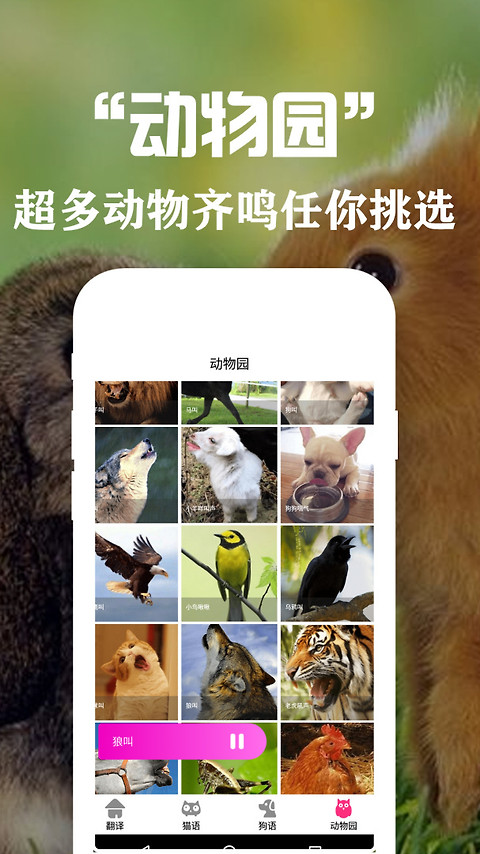 狗语翻译交流器app