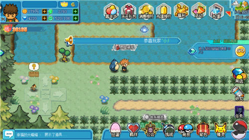 口袋新世代oppo服