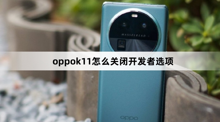 oppok11如何关闭开发者选项