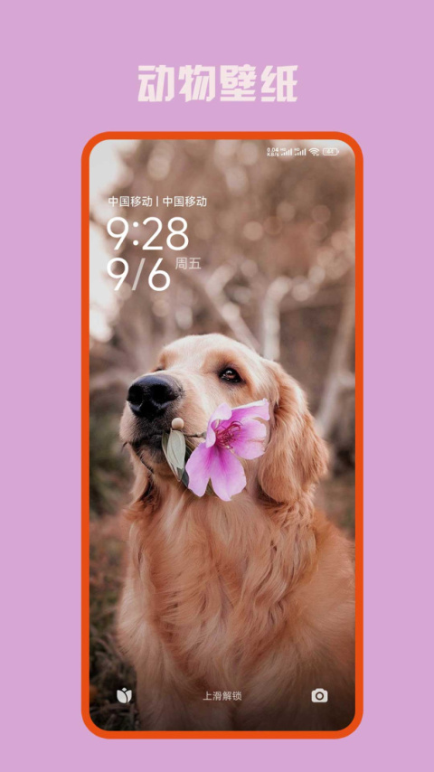 美颜美妆相机app