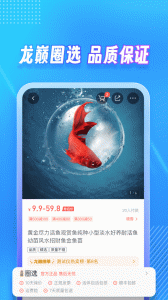 龙巅app