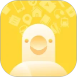 白鸽乐保app