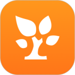 金数据app