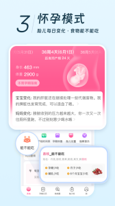 美柚app