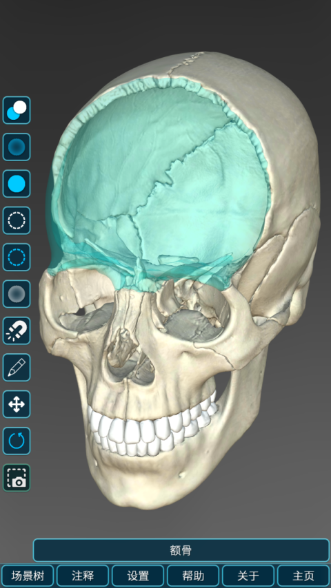 人体解剖学图集app