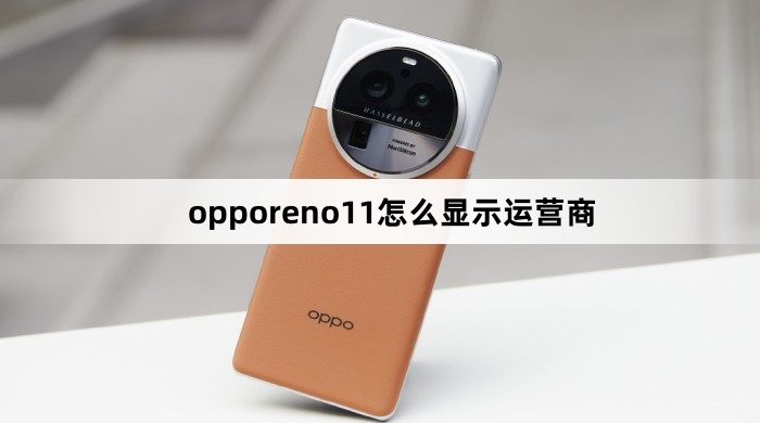 opporeno11如何显示运营商