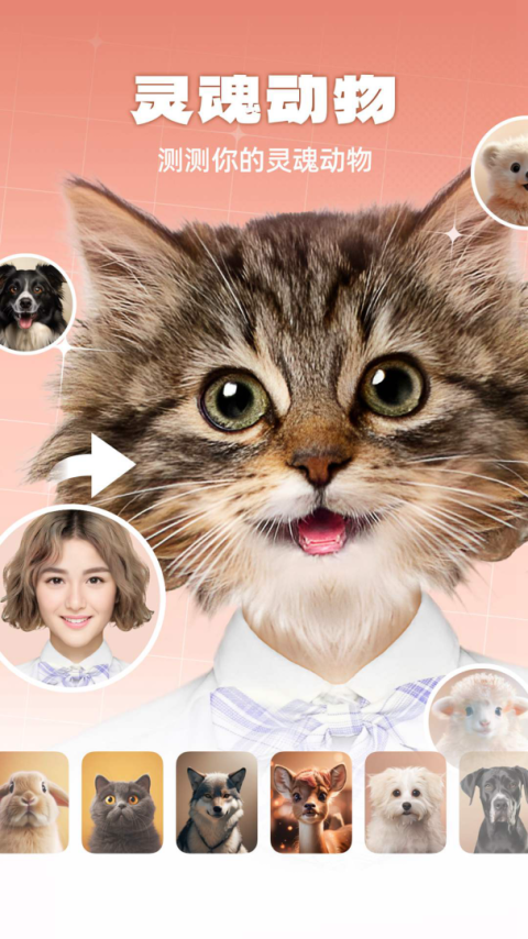 灵魂宠物app