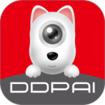 盯盯拍行车记录仪app