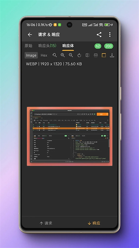 黄鸟抓包app