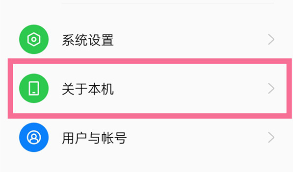 真我Realme 10 Pro如何进入开发者模式