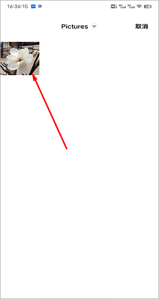 拍照识花神器app