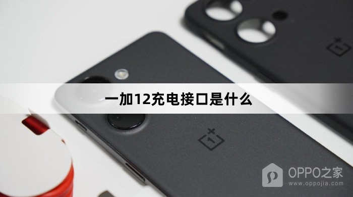 一加12充电接口介绍