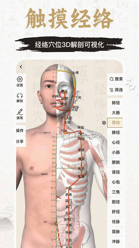 中济经络穴位app