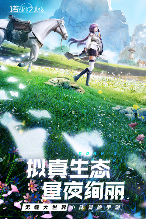 诺亚之心国际服