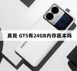 真我 GT5有24GB内存版本吗