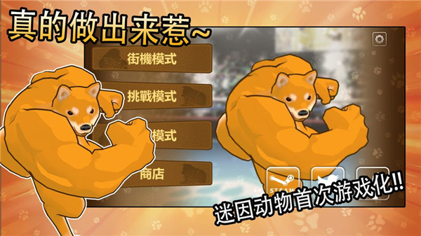 动物之斗游戏最新版