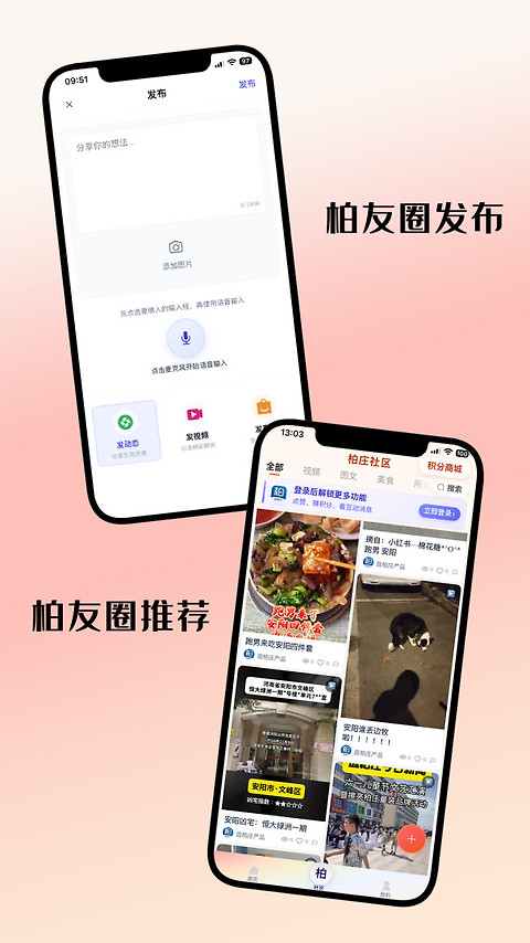 逛柏庄app